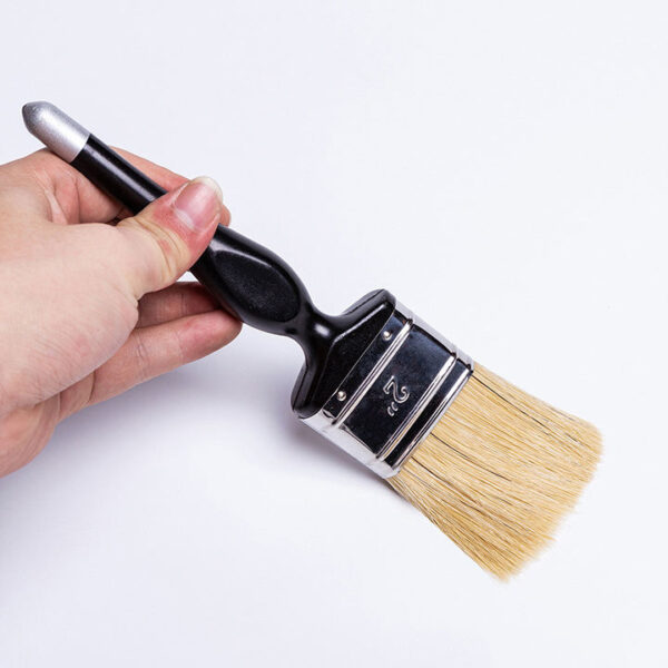 Paint Brush with Plastic Handle