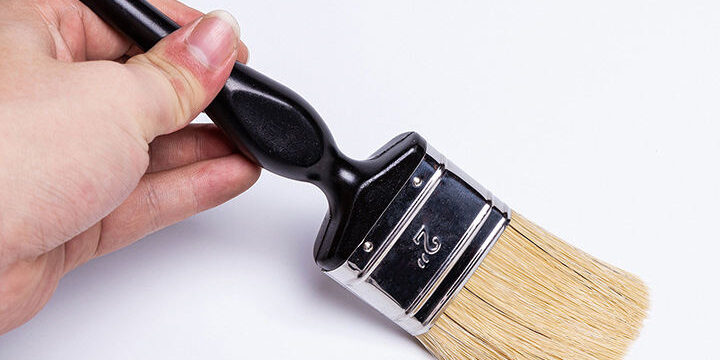 Paint Brush with Plastic Handle